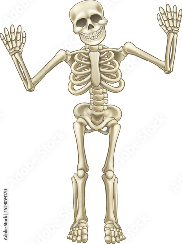 Cartoon Skeleton Character