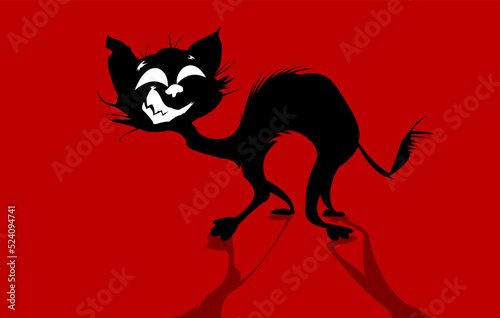 Angry cat