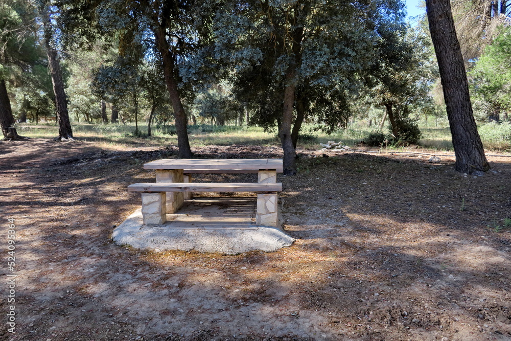 Table de pique nique en pierre et bois. Table de pique nique en pierre et bois.