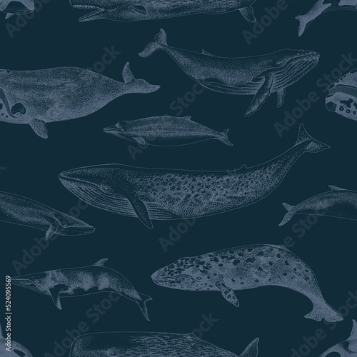 Blue Seamles pattern with whales.