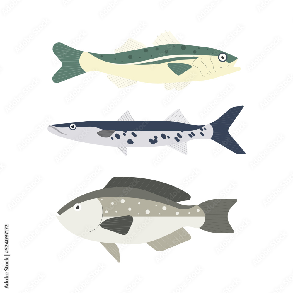Set of river fish. Fish isolated on white background. Vector illustration.
