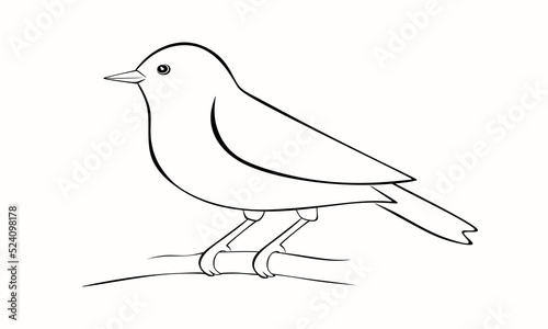 Hand drawn bird on a wooden branch. Easy funny bird illustration for children's creativity. Cute little bird on a white background