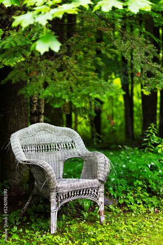 A rather old weathered  wicker chair with bgreen forest surrounding it. photo