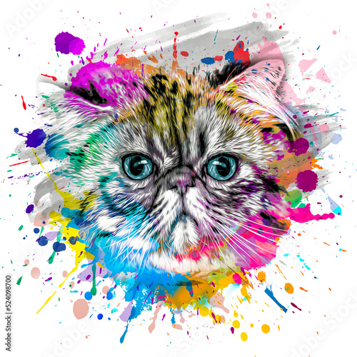 abstract colorful cat muzzl...