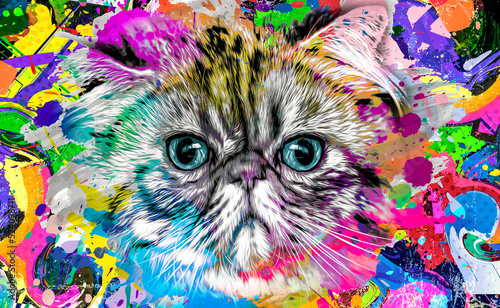 abstract colorful cat muzzl...