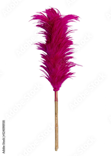 Fotografie Feather duster