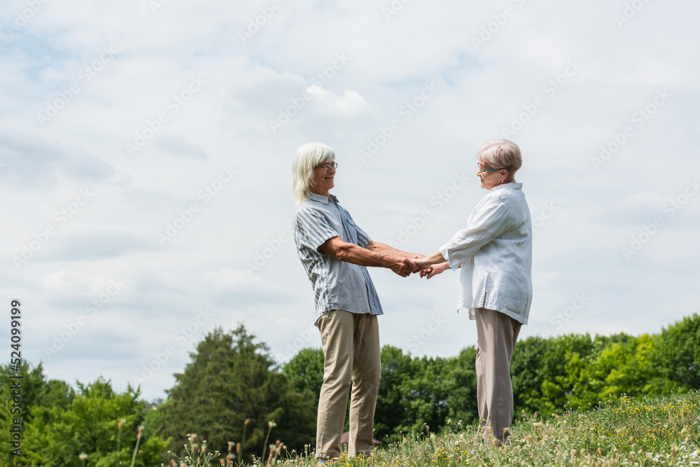 cheerful senior husband and wife with grey hair holding hands on green hill in summer. cheerful senior husband and wife with grey hair holding hands on green hill in summer.