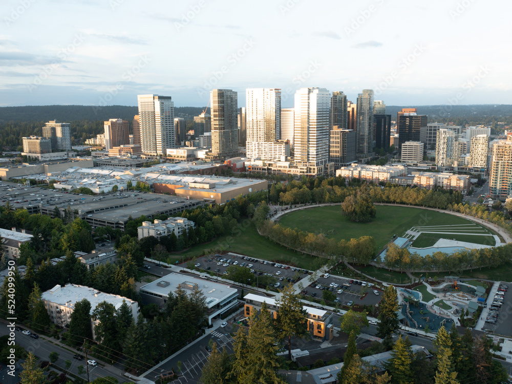 Obraz premium The Modern Tech Town of Bellevue Washington