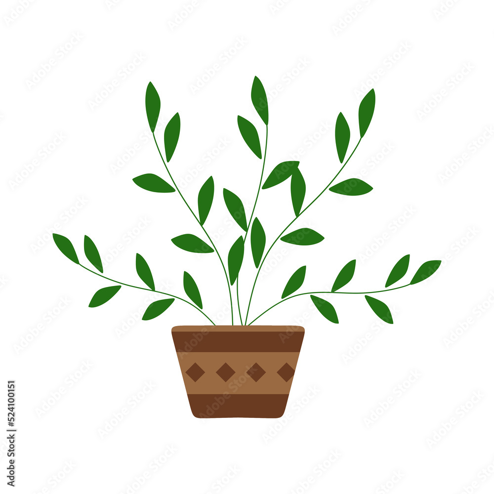 Potted houseplant. Home foliage plant with leaf in flower pot. Green leaves for house decoration. Interior decor. Flat vector illustration isolated on white background Potted houseplant. Home foliage plant with leaf in flower pot. Green leaves for house decoration. Interior decor. Flat vector illustration isolated on white background