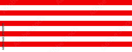 The horizontal line of red and white lines.