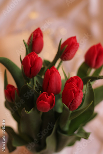 Red tulips bouquet spring