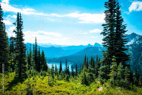 This image was taken at the top of the Naches Loop Trail in Washington State. August is a unique time because the wildflowers are everywhere.