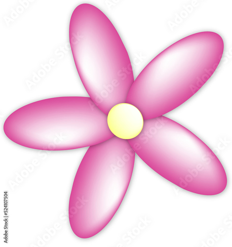 Pink daisy Flower