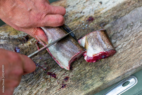 Man preparing taimen fish by gutting and filleting at the wooden board photo