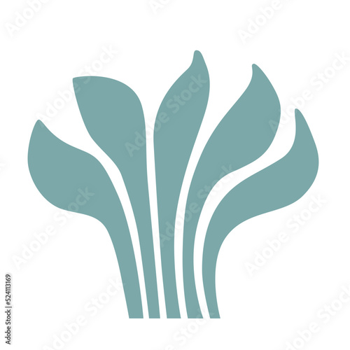 The silhouette of an algae or coral 2