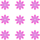 set of flower Pink flowers in a row on a white background