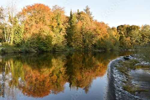 Autumn colours on weir, River Nore, River Nore Linear Park, Riverside Walk, Kilkenny, Ireland