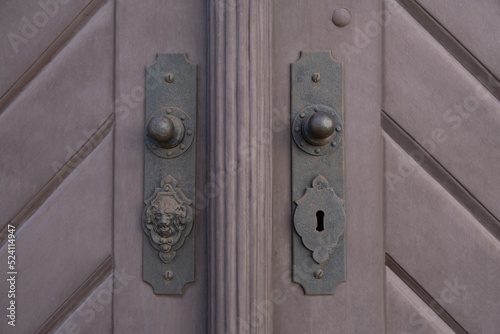 Detail of old ancient castle wooden carved door with  iron lion-handle