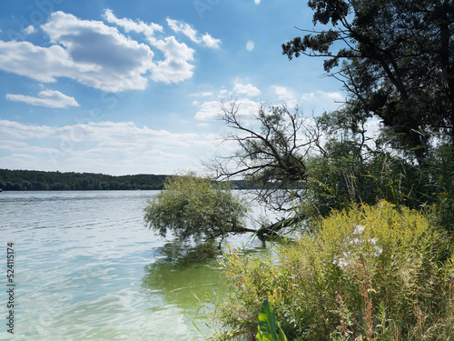 Einer einzigartigen Wasserlandschaft und Naturshutzgebiet rund um Berlin. Panoramablick auf die Flusslandschaft der Havel zwischen Breitehorn und Grunenwald photo