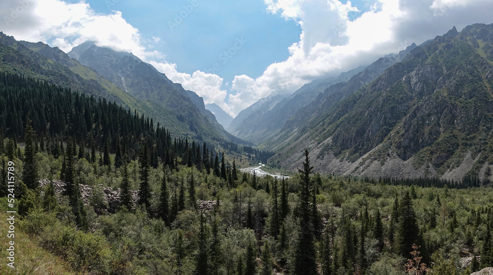 Fototapeta premium Mountain river and forest in summer Kyrgyzstan