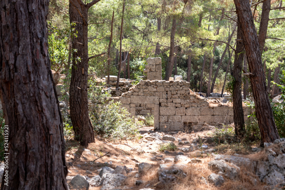 Historical ruins in the forest, Phaselis ancient city, Antalya Historical ruins in the forest, Phaselis ancient city, Antalya