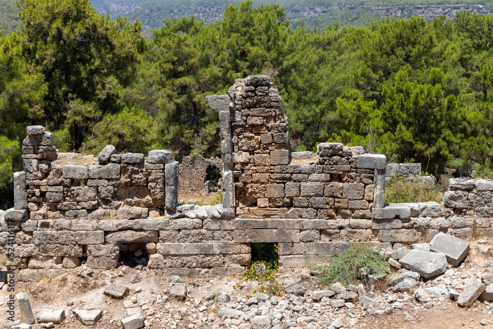 Historical ruins in the forest, Phaselis ancient city, Antalya