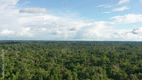 4k Aerial shot for amazon river and the rain forest in brazil rainforest. shot on MAVIC 2 PRO hasselblad rendered prores 422HQ REC709