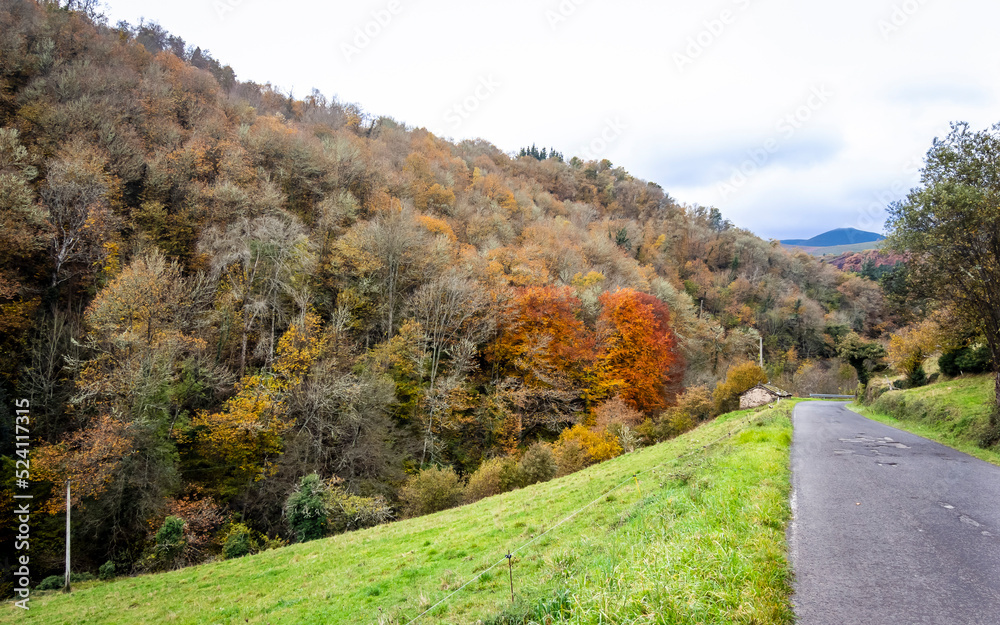 Panoramic view of the Ancares region with the colors of autumn