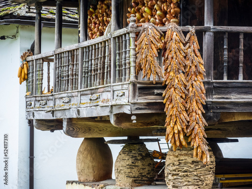 Typical horreo of the northwest of the Iberian Peninsula with corn cobs drying on the terrace photo