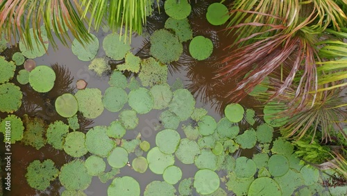 4k Aerial shot for amazon river and the rain forest in brazil rainforest.
shot on MAVIC 2 PRO hasselblad rendered prores 422HQ REC709