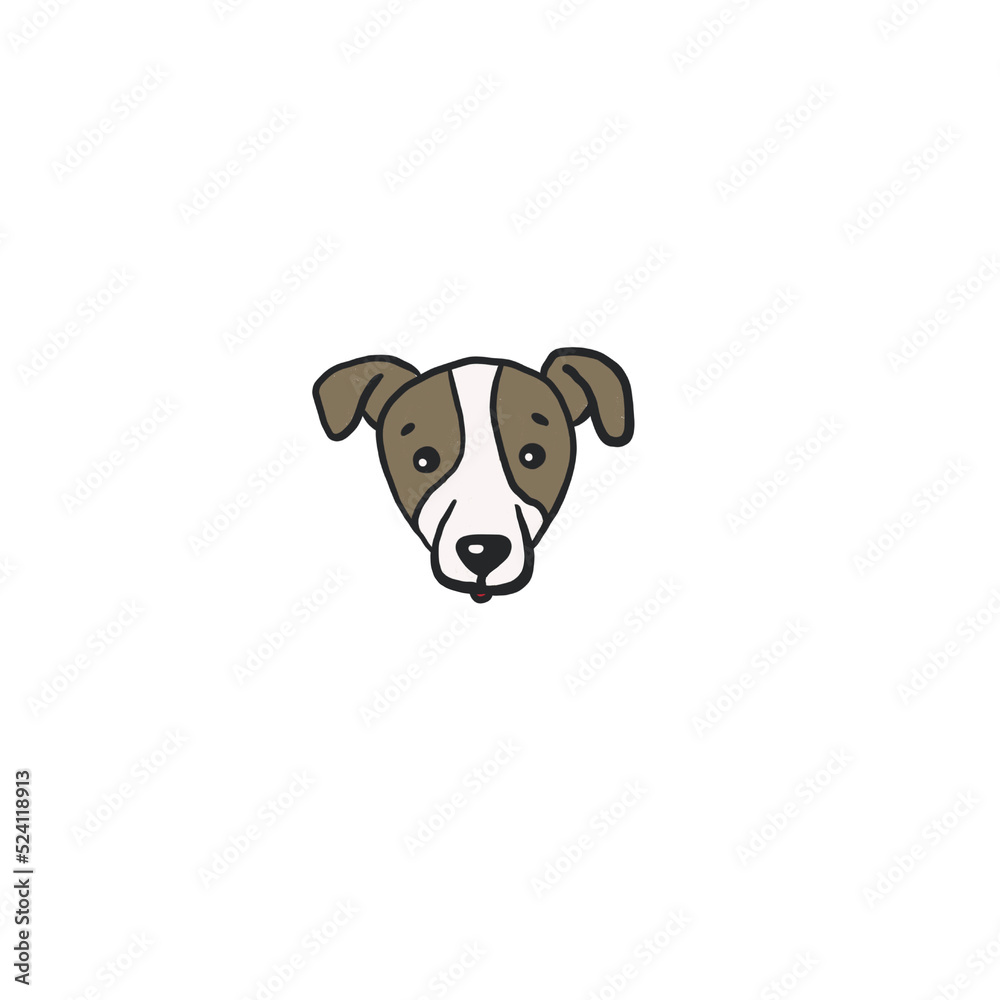 Fototapeta premium beagle dog portrait
