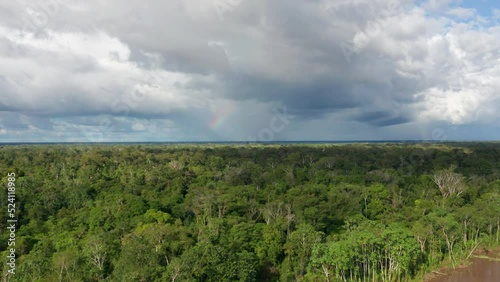 4k Aerial shot for amazon river and the rain forest in brazil rainforest. shot on MAVIC 2 PRO hasselblad rendered prores 422HQ REC709