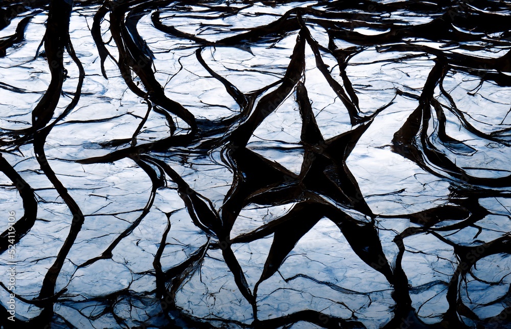 Naklejka premium Texture that looks like black cracks in the ground.