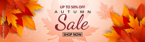Autumn sale banner with realistic yellow, red, orange leaves and advertising discount text decoration. Vector illustration