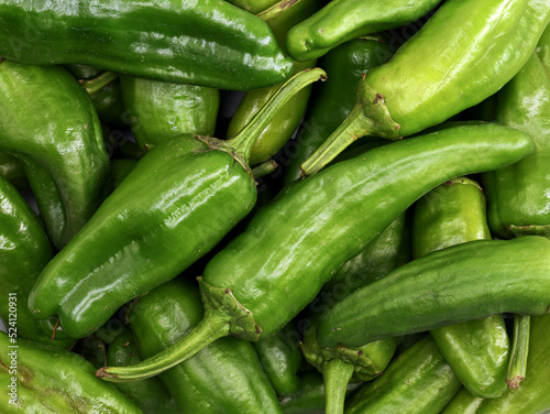 close up of fresh ripe padron peppers, top view of capsicum annuum, green pepper from spain photo