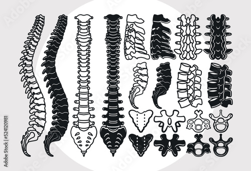
Anatomy Spine SVG Bundle, Anatomy Svg, Human Spine Svg, Spine Svg, Bones Svg, Spinal Cord Svg, Skeleton Svg,
Physiotherapy Svg
