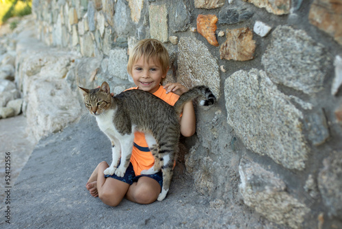 Cute toddler child, boy, playing with cat on the rocks on the beach, summertime photo