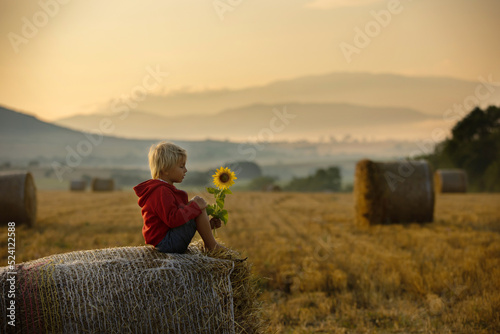 Fotografiet Sweet toddler child, boy, sitting on a haystack in field on sunrise