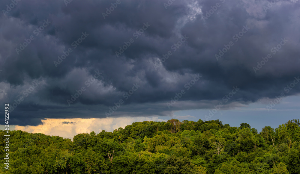Panorama view of storm clouds over a forest of trees