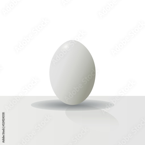 White chicken egg with shell