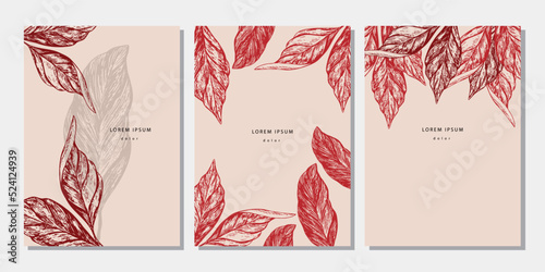 Set of autumn template with hand drawn leaves. Collection of pencil drawing cocoa tree leaves on beige background