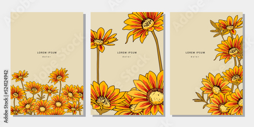 Set of floral template with yellow and red gazania flower. Botanical illustration with sunflowers on beige background. Design elements with treasure flower