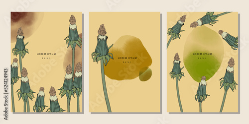 Set of floral template with dandelions and watercolor stains. Herbal illustration with blowball flower on beige background