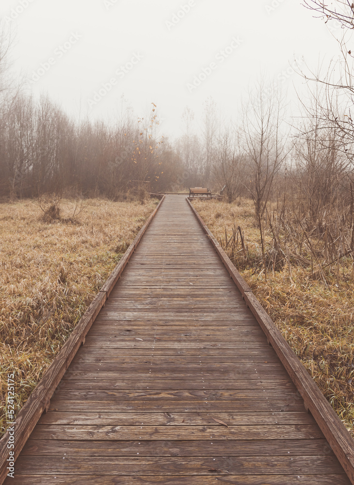 Wooden Boardwalk Path in Fog in Environmental Park Meadow in Autumn