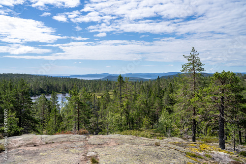 Stunning View of Skuleskogen National park and Sweden High Coast idyllic Wilderness near Archipelago of Baltic Sea. Famous Weekend escape with Steep mountains and deep Canyons.