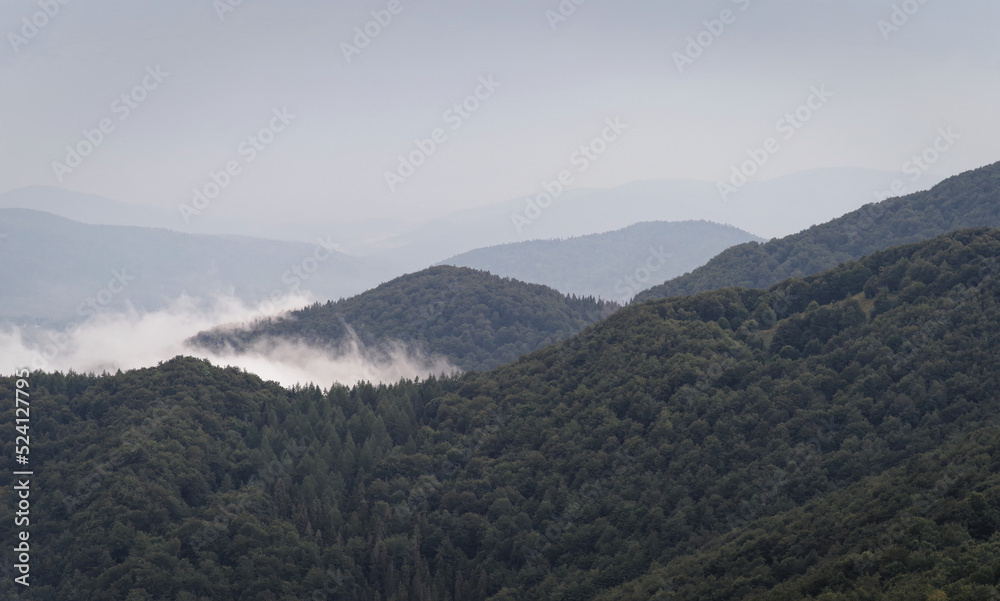 Mgły po deszczu w górach.