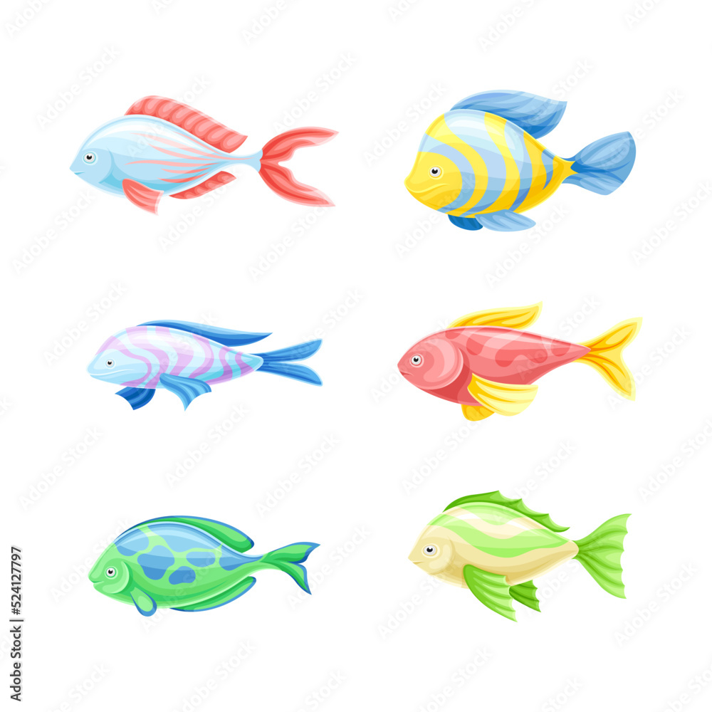 Fototapeta premium Colorful Fish as Aquatic Gill-bearing Animal with Fin and Tail Vector Set