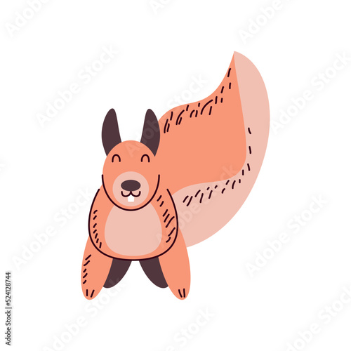 cute squirrel animal