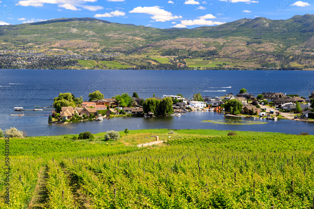 Fototapeta premium Westbank West Kelowna Okanagan Lake Vineyard