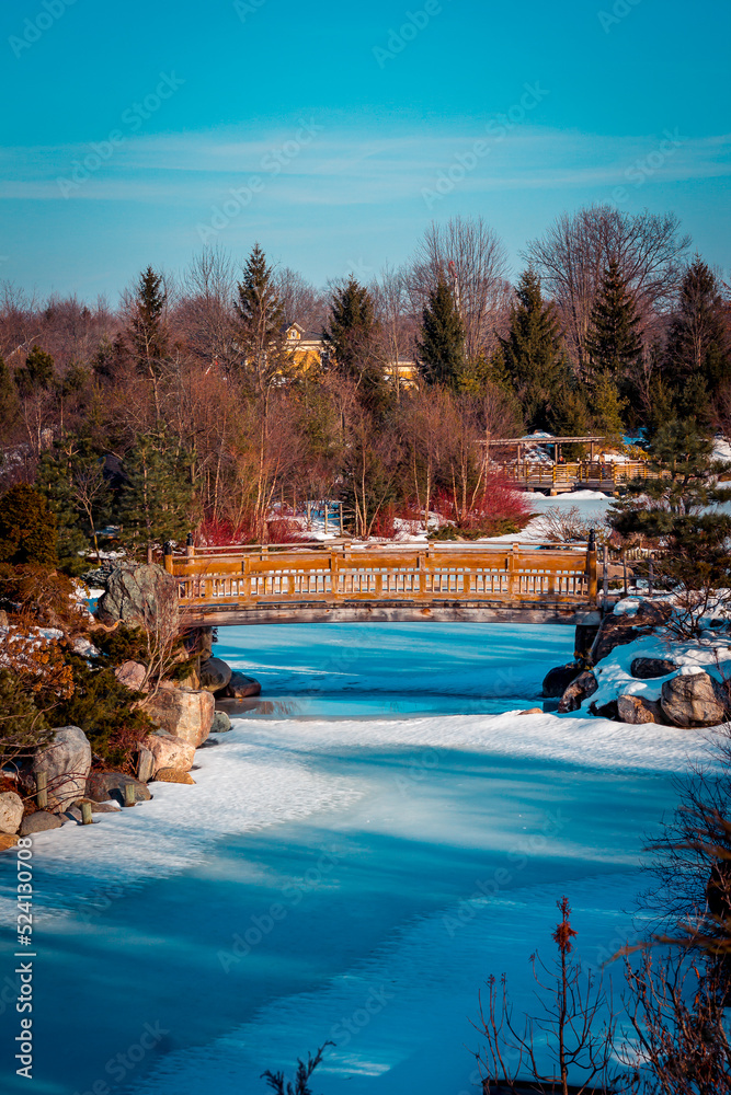 Bridge over a frozen lake in the japanese garden Bridge over a frozen lake in the japanese garden